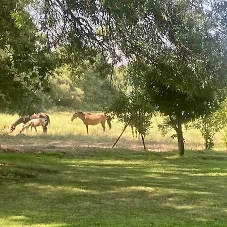 El Caseron De El Bosque Holiday home